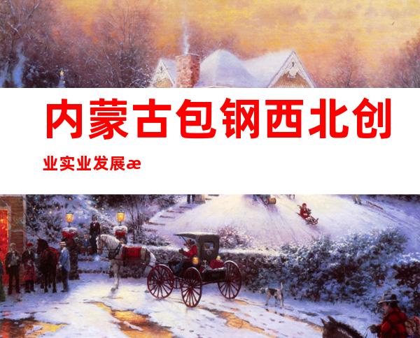 内蒙古包钢西北创业实业发展有限责任公司房产供暖服务中心
