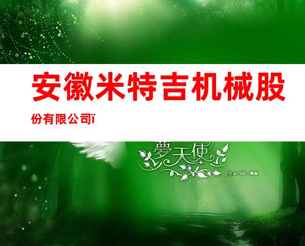 安徽米特吉机械股份有限公司（销售部）