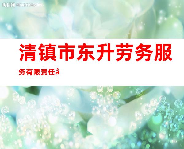清镇市东升劳务服务有限责任公司