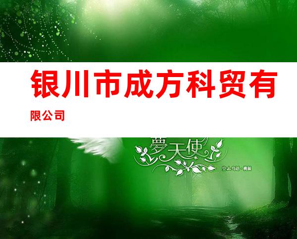 银川市成方科贸有限公司